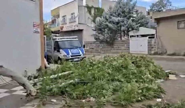 Siverek'te etkili olan fırtına, tarlada çalışan işçilere zor anlar yaşattı