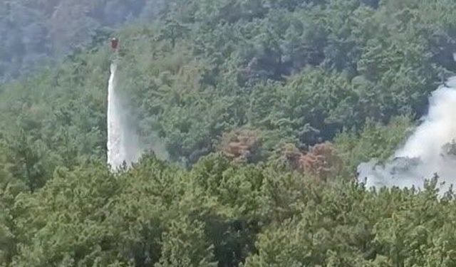 Soğutma çalışmalarının sürdüğü ormanlık alanda yeniden yangın çıktı