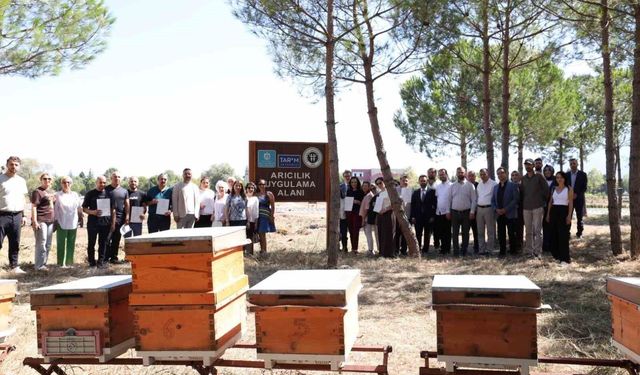Tarım Akademisi'nde sertifika heyecan