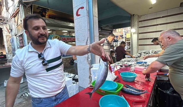 Tavşanlı Balık Pazarı'nda sezon hareketliliği