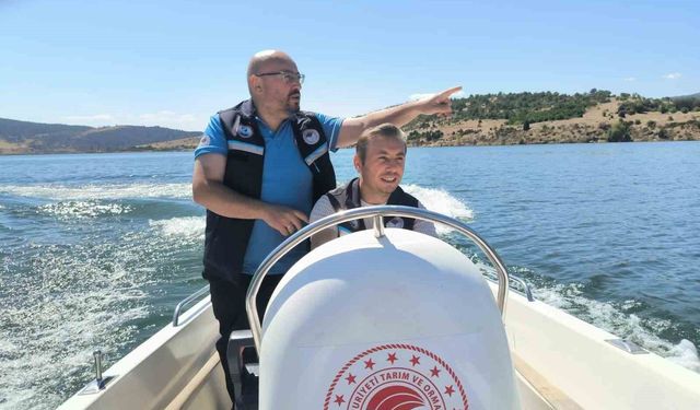 Tavşanlı Kayaboğazı Barajı'nda sahipsiz balık ağlarına denetim