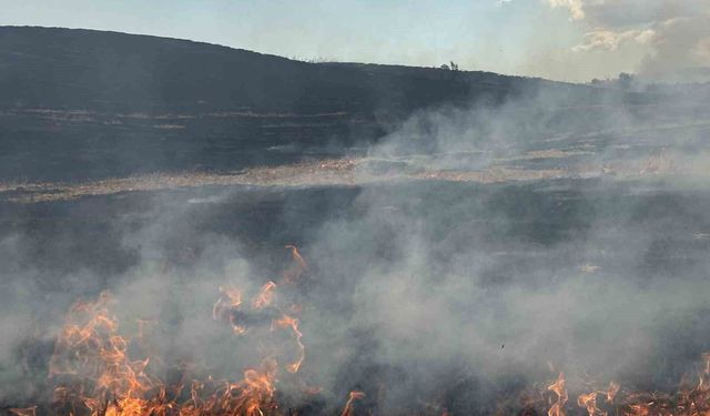 Tekirdağ'da korkutan anız yangını