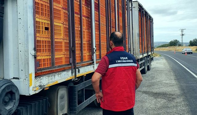 Uşak'ta hayvan hastalıklarına karşı yol kontrol ve denetimler aralıksız devam ediyor