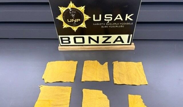 Uşak'ta uyuşturucu operasyonunda 14 şüpheli tutuklandı