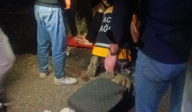 Van'da yolcu minibüsü devrildi: 9 yaralı