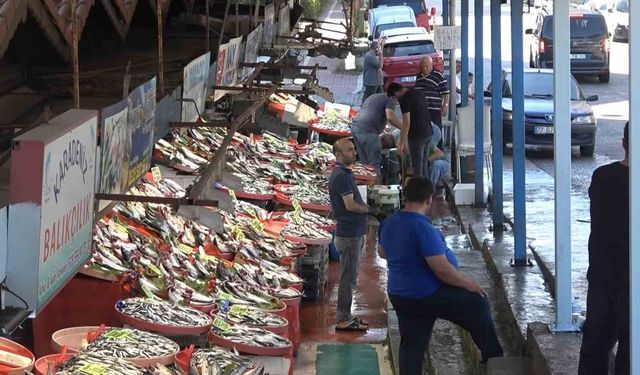 Yalova Balık Hali'nde fiyatlar düşüşe geçti