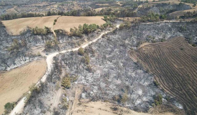 Yangın sonrası acı manzara: 'Canımızı zor kurtardık'
