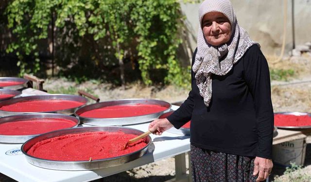 Yazlıkçıların kış hazırlığı: Domates salçası tepsilerde güneşte olgunlaşıyor