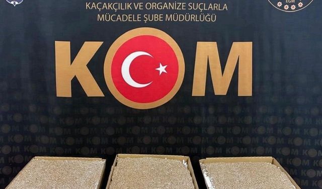 Yozgat'ta doldurulmuş makaron ele geçirildi