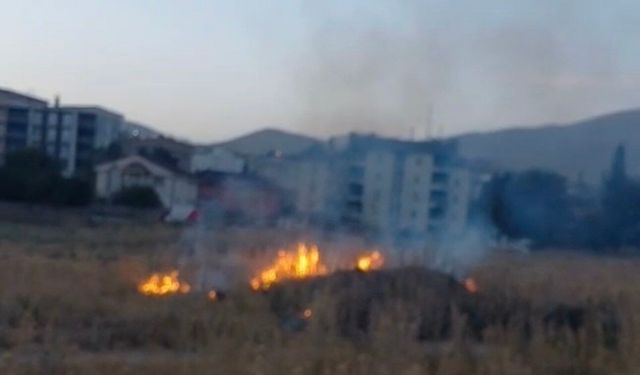 Yüksekova'da anız yangını