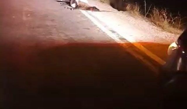 Yüksekova'da sürüye otomobil çarptı: 4 koyun telef oldu