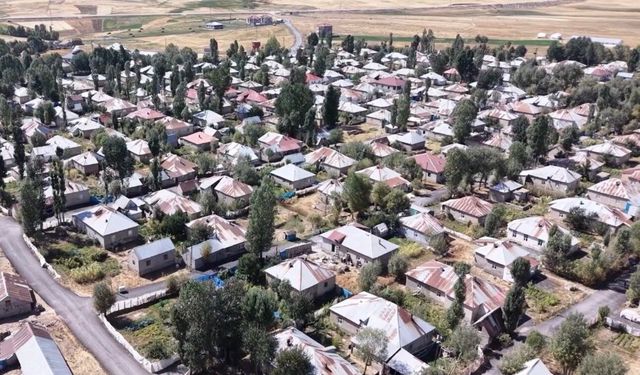 Yüksekova'nın simetrik güzelliği: Doğanlı köyü