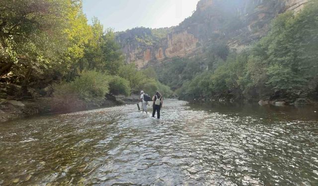 Zore Vadisi, terörsüz Türkiye süreciyle yerli turistlerin gözdesi oldu