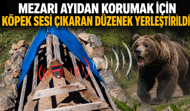 Mezarı ayıdan korumak için köpek sesi çıkaran düzenek yerleştirildi