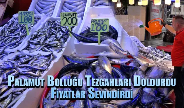 Palamut bolluğu tezgahları doldurdu, fiyatlar sevindirdi