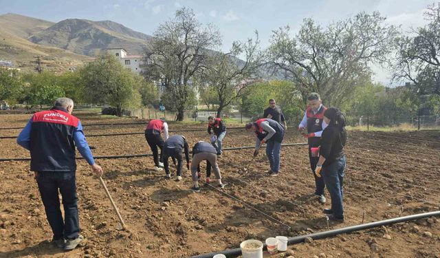70 yaşındaki üretici Şehriban teyzenin yardımına tarım ekipleri yetişti
