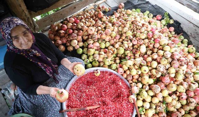 80 yaşındaki Yeter nine, nar tanelerinin başında geleneği yaşatıyor