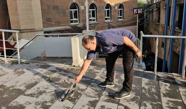 Adilcevaz'da kasap ile karga arasındaki sıra dışı dostluk görenleri gülümsetiyor