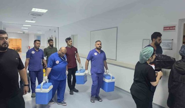 Akıma kapılan 2 yaşındaki çocuğun organları 3 kişiye umut oldu