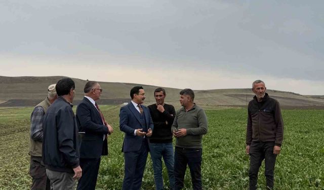 Akyaka Kaymakamı Demirtaş, şeker pancarı hasadına katıldı