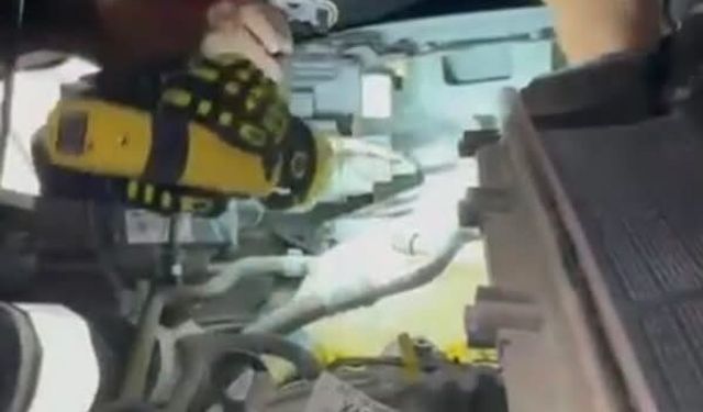 Arsuz'da aracın motoruna sıkışan kedi kurtarıldı