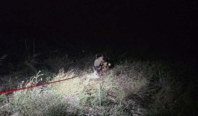 Asi Nehri'ne düşen koç itfaiye ekiplerinin zorlu çalışmasıyla kurtarıldı