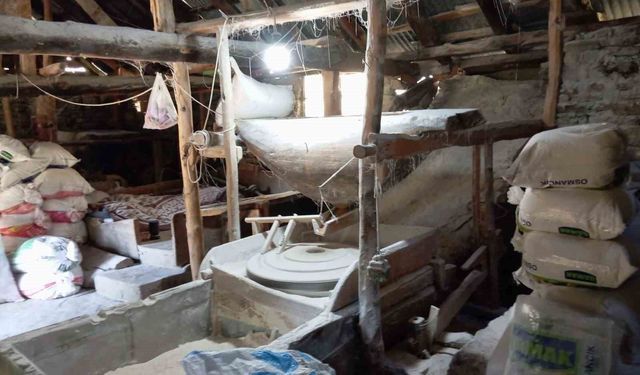 Ata tohumundan ürettiği buğdaya talep arttı