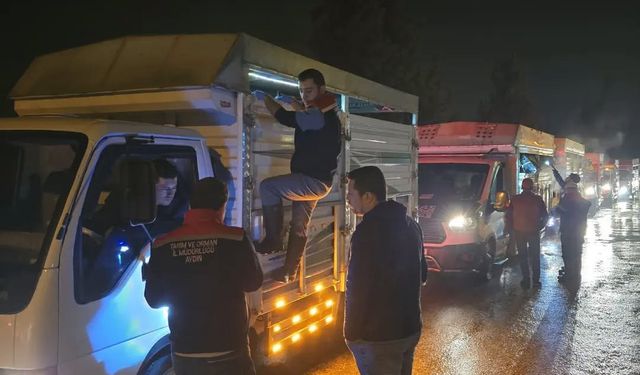 Aydın'da hayvan pazarlarında sıkı denetim