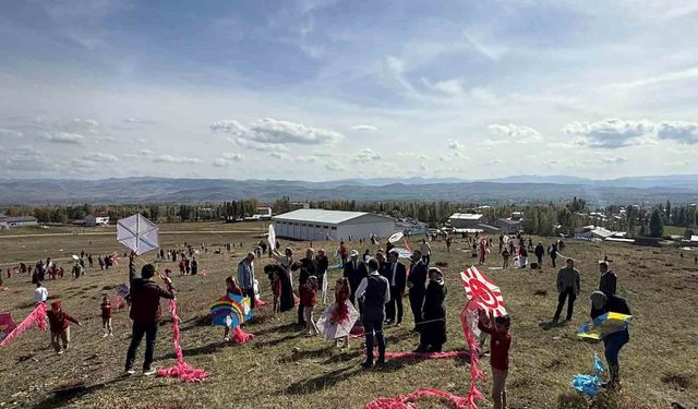 Aydıntepe'de uçurtma şenliği düzenlendi