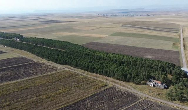 Bakan Kurum'un paylaşımı Benliahmet İstasyonu'nu yeniden gündeme taşıdı