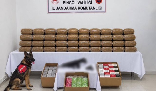 Bingöl'de kesinleşmiş hapis cezası bulunan 4 şüpheli yakalandı