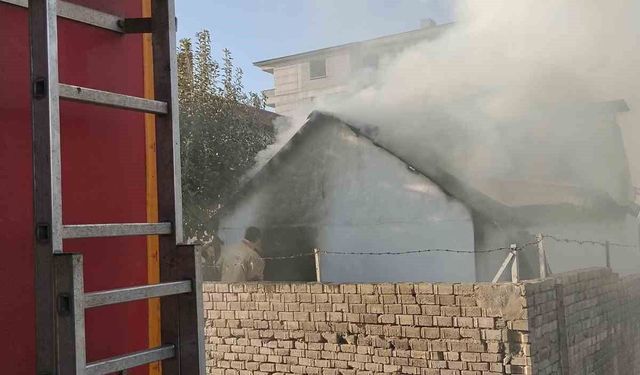Bingöl'de odunluk yangını büyümeden söndürüldü