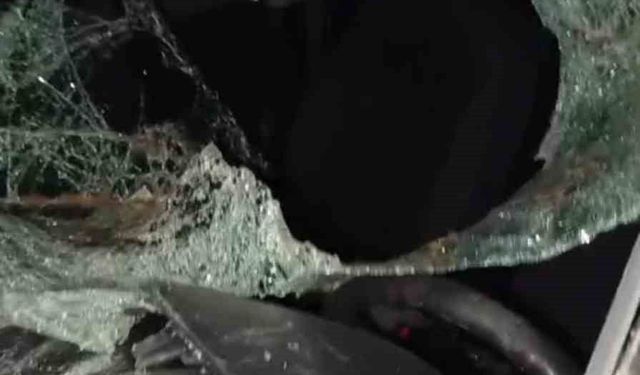 Bingöl'de otomobil ineğe çarptı: 4 yaralı