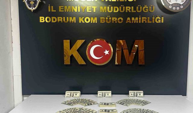 Bodrum'da sahte dolar operasyonu: 46 bin 200 dolar ele geçirildi