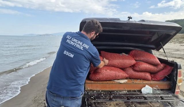 Bursa'da kaçak avcılığa geçit yok: 2 ton 760 kilo kum şırlanı doğaya bırakıldı