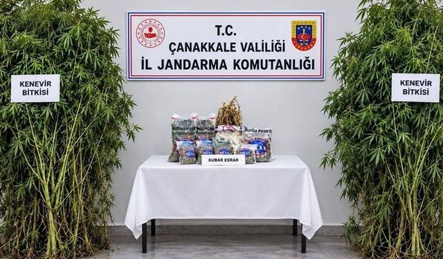 Çanakkale'de uyuşturucu operasyonuna 1 tutuklama