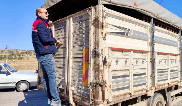 Canlı hayvan nakline yönelik denetimler sürüyor