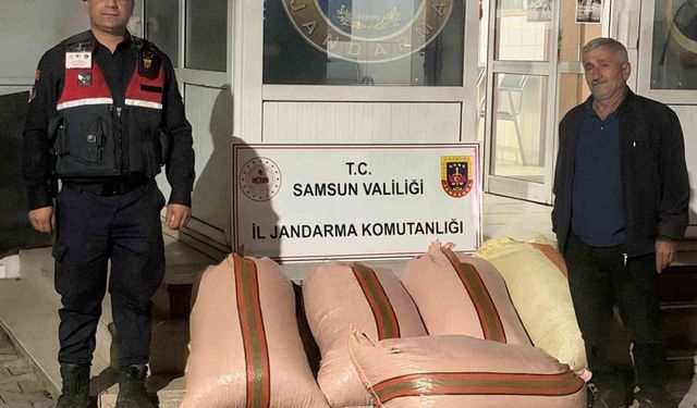 Çarşamba'da fındık dolandırıcılığı: 2 gözaltı