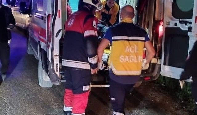 Defne'de Asi Nehri'ne düşen araçtaki 2 kişi yaralandı