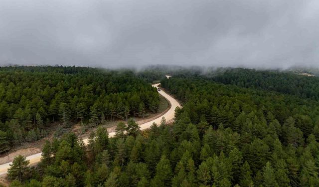 Demirci Söğütçük'te 11 kilometrelik yol için çalışma başladı