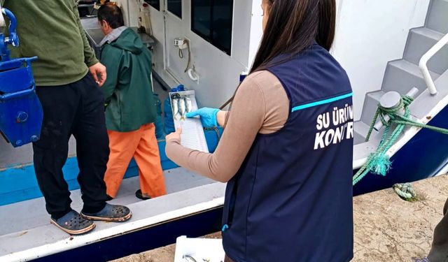 Demirköy'de balıkçı teknelerinde su ürünleri denetimi