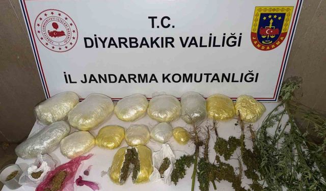 Diyarbakır'da 59 bin kök kenevir ile 109 kilo uyuşturucu ele geçirildi