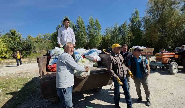 Domaniçli ceviz üreticileri destek bekliyor