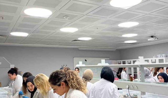 Düzce'de Üniversite öğrencilerinden üç farklı atölye etkinliği
