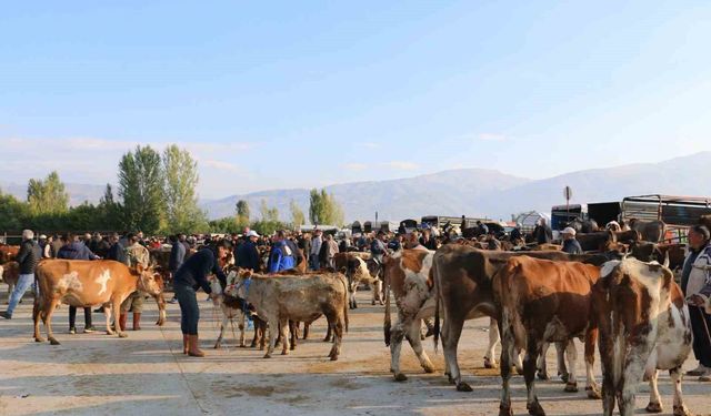 Erzincan'da hayvan yetiştiricilerine şap hastalığına karşı aşılama uyarısı