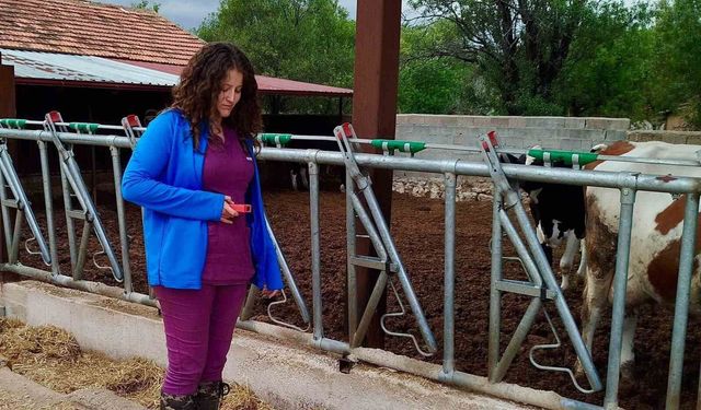 Evciler'de işletmelerin kapasite ve üretim şartları incelendi