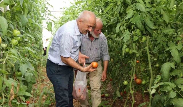 Gebze Belediyesinden çiftçilere tarımsal üretim desteği