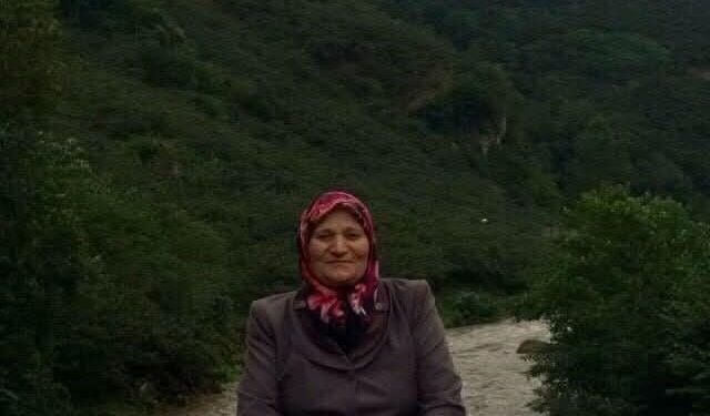 Giresun'da bahçede düşen kişi hayatını kaybetti
