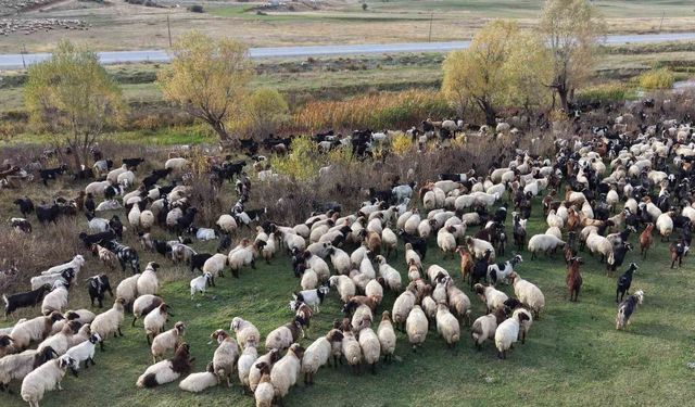Göçerlerin Van'dan Siirt'e zorlu dönüş yolculuğu başladı