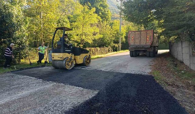 Gökçedere ve Taşlık köylerinde asfalt çalışmaları tamamlandı